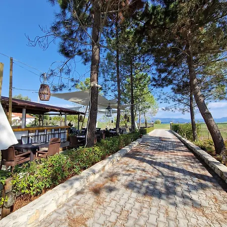 Alexandra 8 Lefkimmi (Corfu)