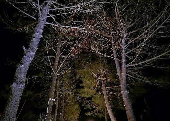 Alexandra 8 * Lefkimmi (Corfu)