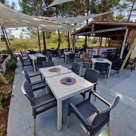 Alexandra 8 Apartament