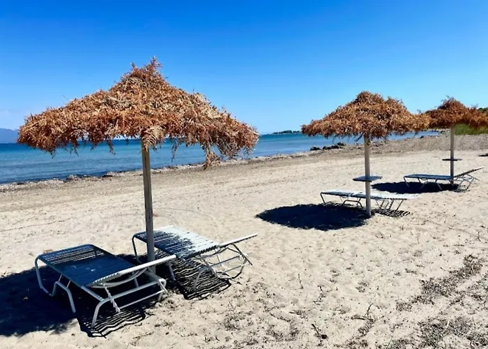 Appartamento Alexandra 8 *